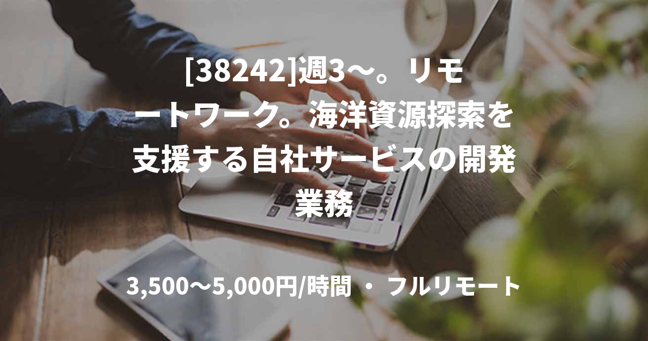 [38242]週3〜。リモートワーク。海洋資源探索を支援する自社サービスの開発業務