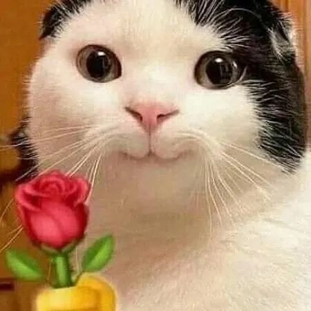 Tìm kĩ sư thiết kế phần mềm/remote 