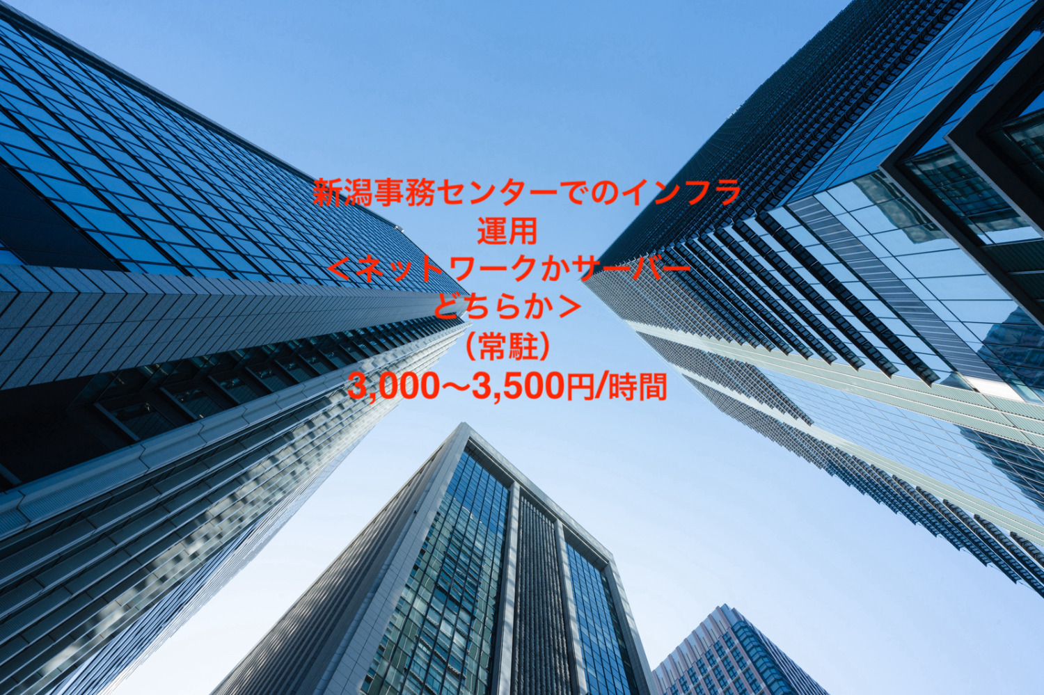 新潟事務センターでのインフラ運用＜ネットワークかサーバーどちらか＞（常駐）