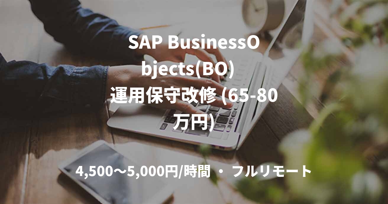 SAP BusinessObjects(BO)   運用保守改修 (65-80万円)
