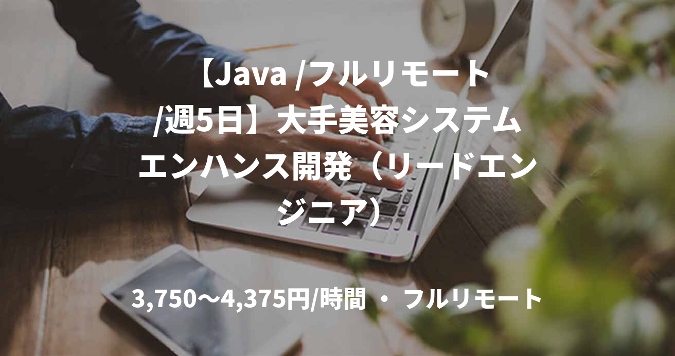【Java /フルリモート/週5日】大手美容システムエンハンス開発（リードエンジニア）