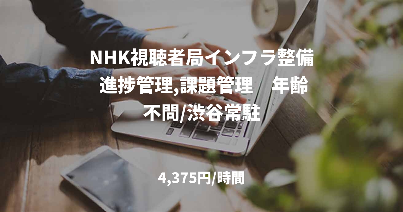 NHK視聴者局インフラ整備 進捗管理,課題管理　年齢不問/渋谷常駐