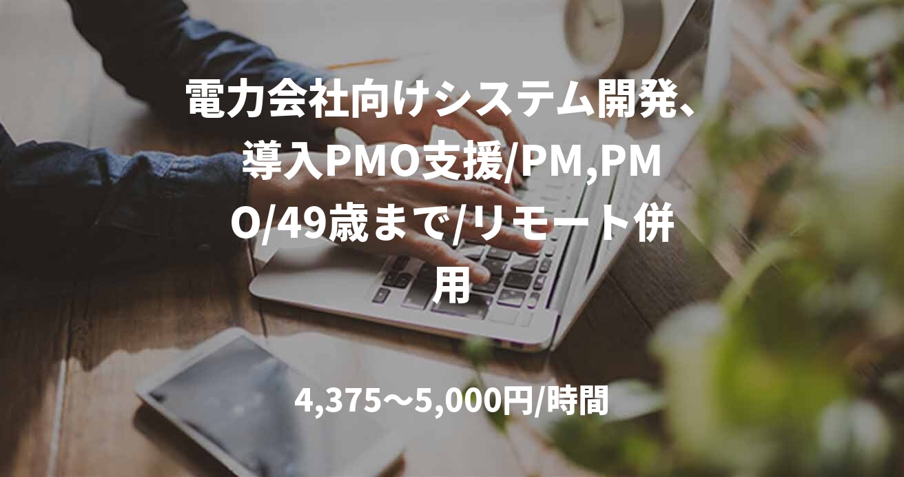 電力会社向けシステム開発、導入PMO支援/PM,PMO/49歳まで/リモート併用