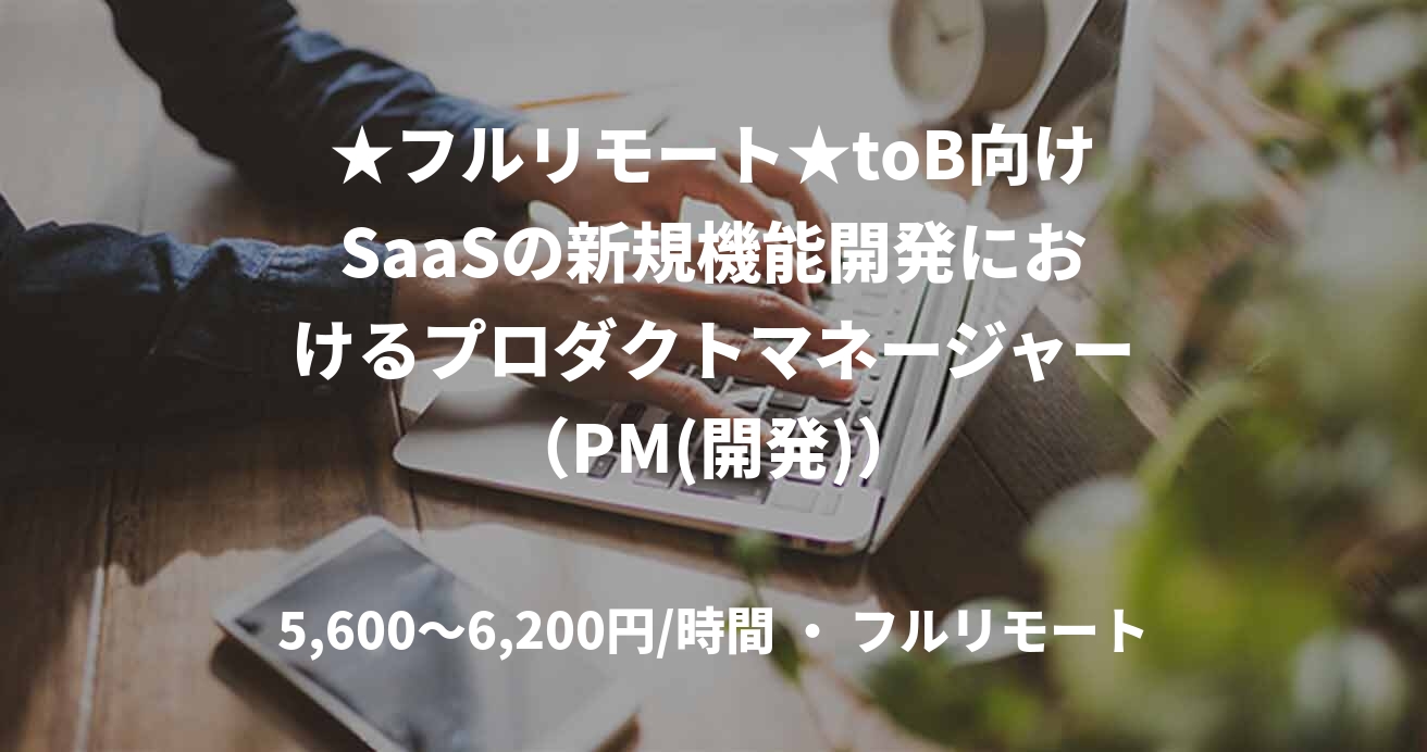 ★フルリモート★toB向けSaaSの新規機能開発におけるプロダクトマネージャー（PM(開発)）