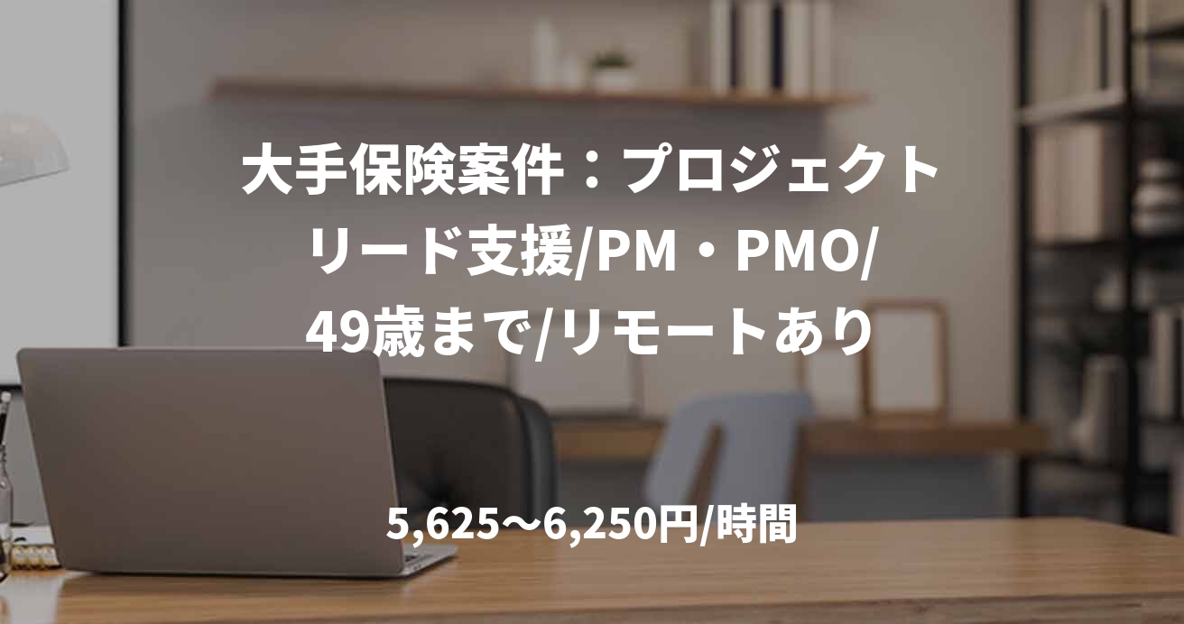 大手保険案件：プロジェクトリード支援/PM・PMO/49歳まで/リモートあり