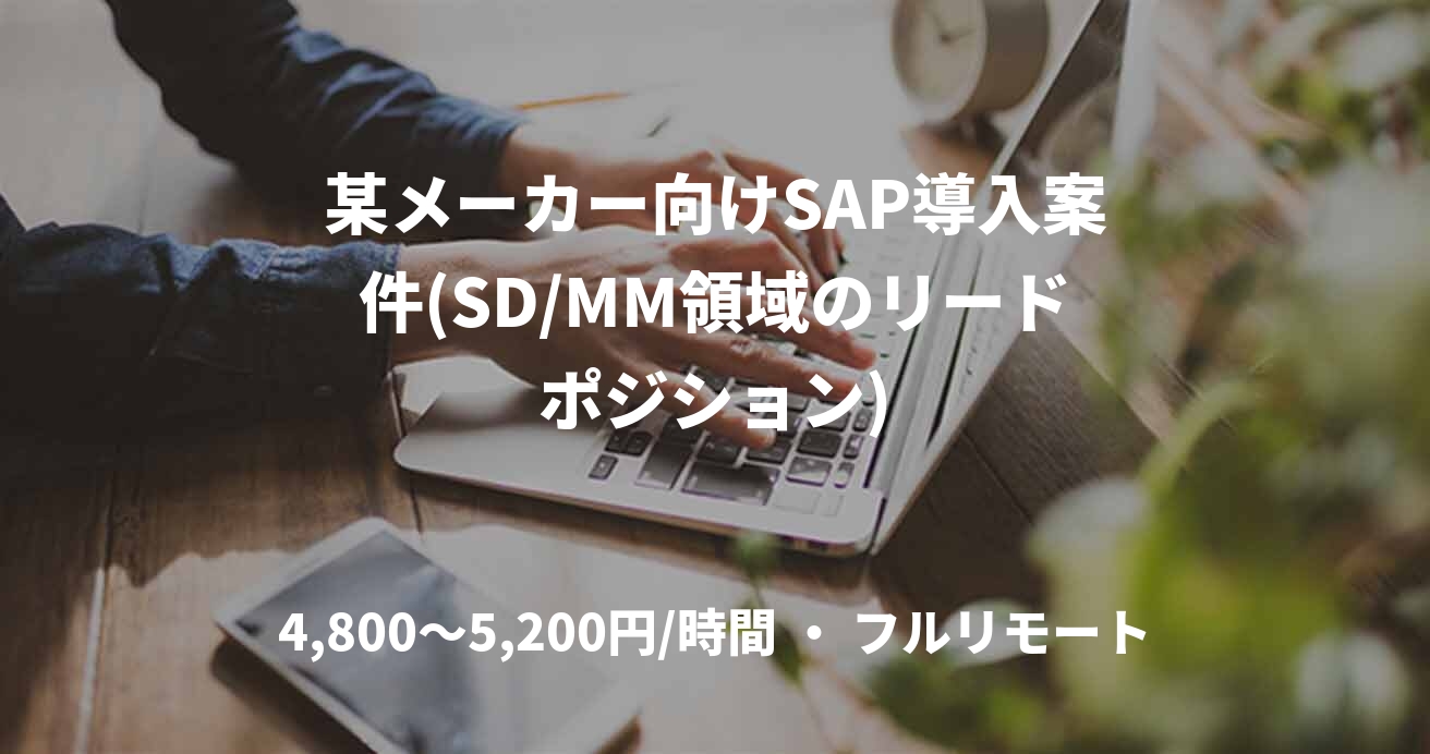 某メーカー向けSAP導入案件(SD/MM領域のリードポジション)