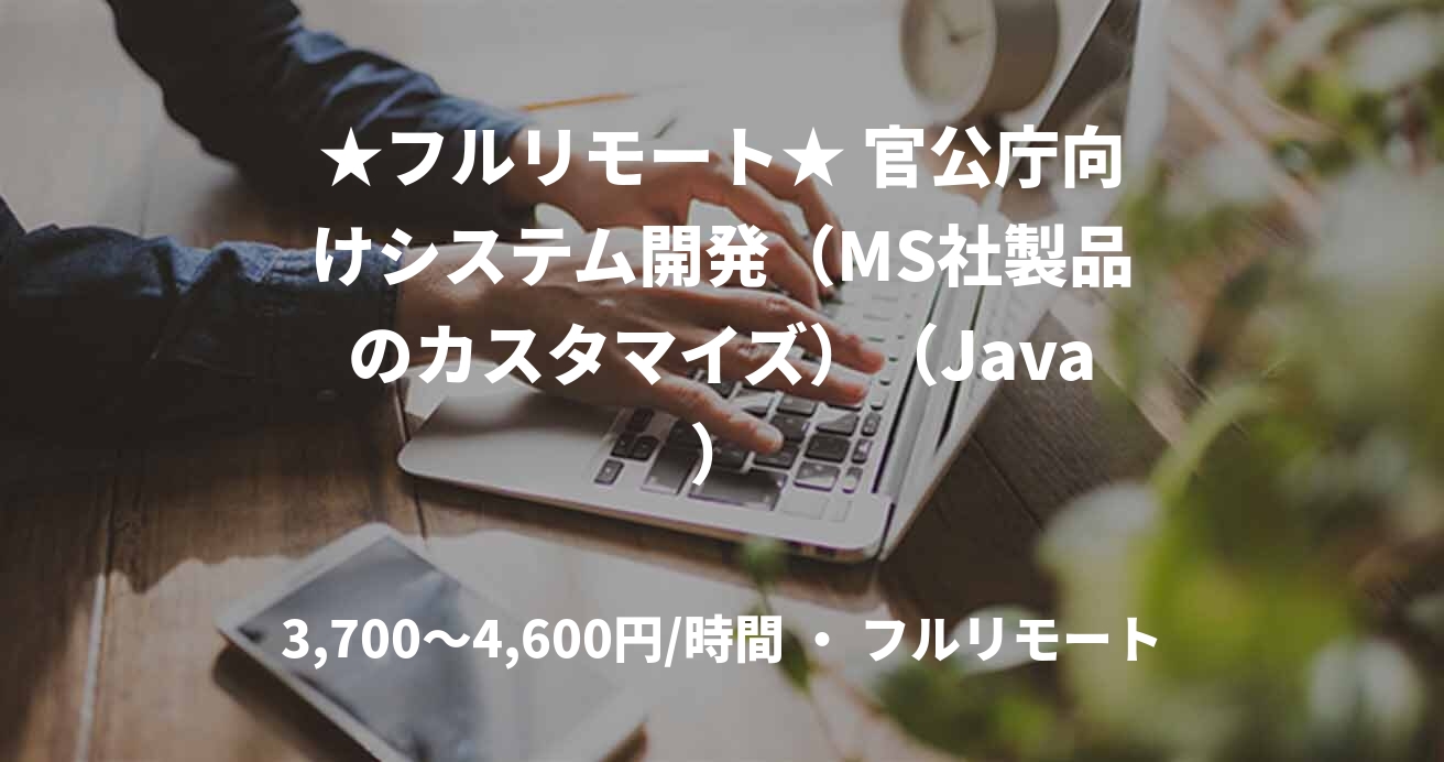 ★フルリモート★ 官公庁向けシステム開発（MS社製品のカスタマイズ）（Java）