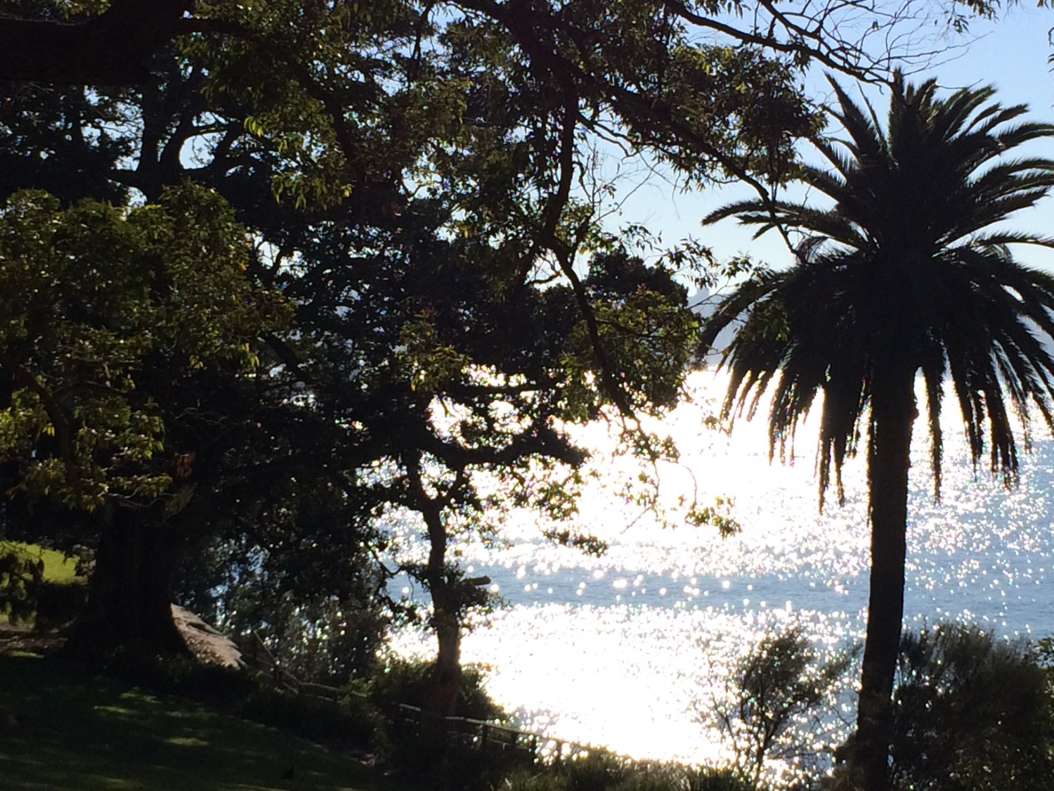 ※フルリモート　プロジェクトマネジメントツール開発（React）【７月～】