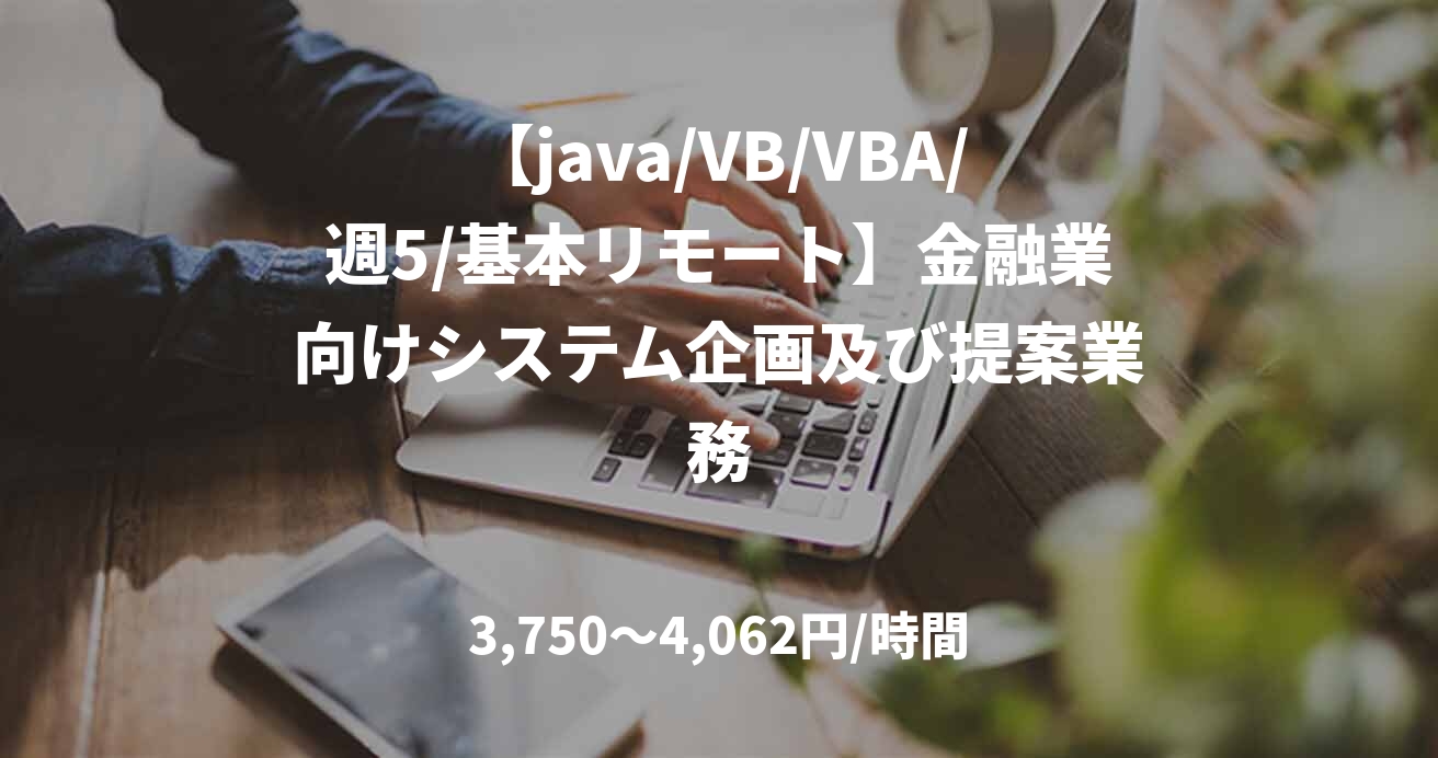 【java/VB/VBA/週5/基本リモート】金融業向けシステム企画及び提案業務