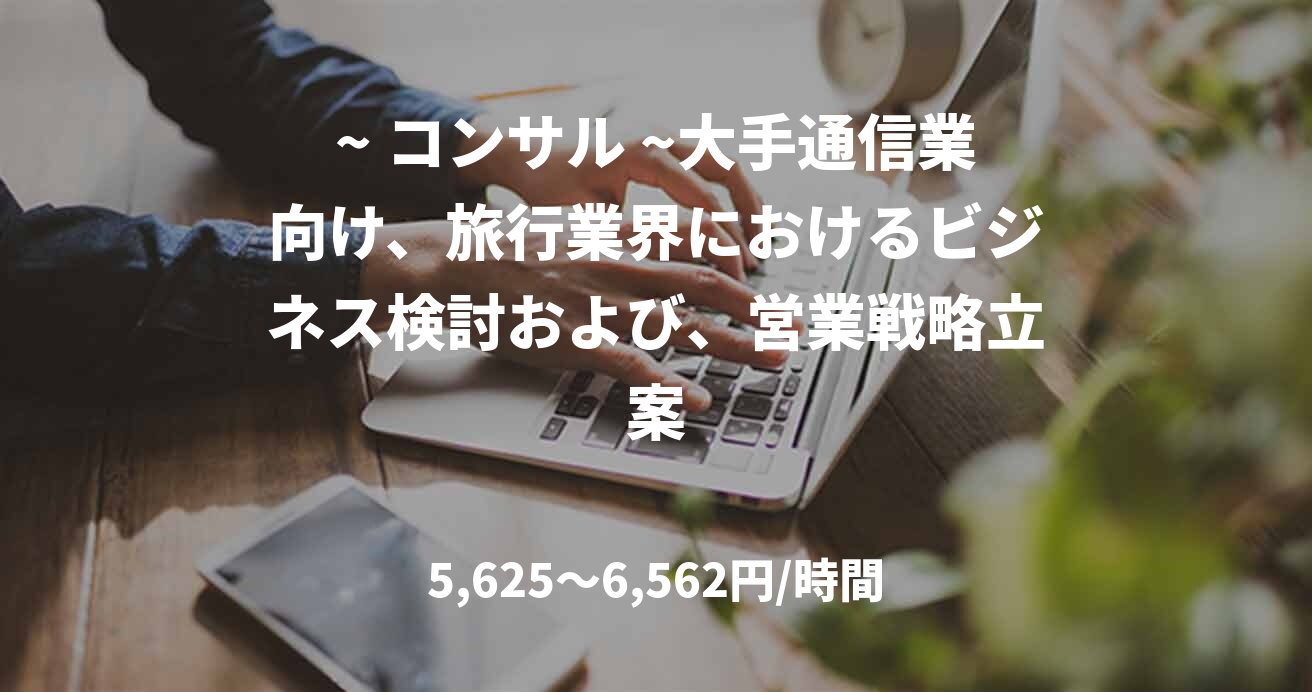 ~ コンサル ~大手通信業向け、旅行業界におけるビジネス検討および、営業戦略立案