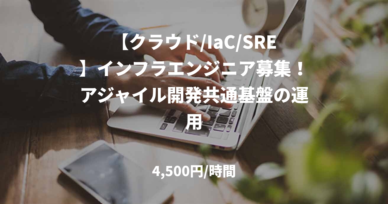 【クラウド/IaC/SRE】インフラエンジニア募集！アジャイル開発共通基盤の運用