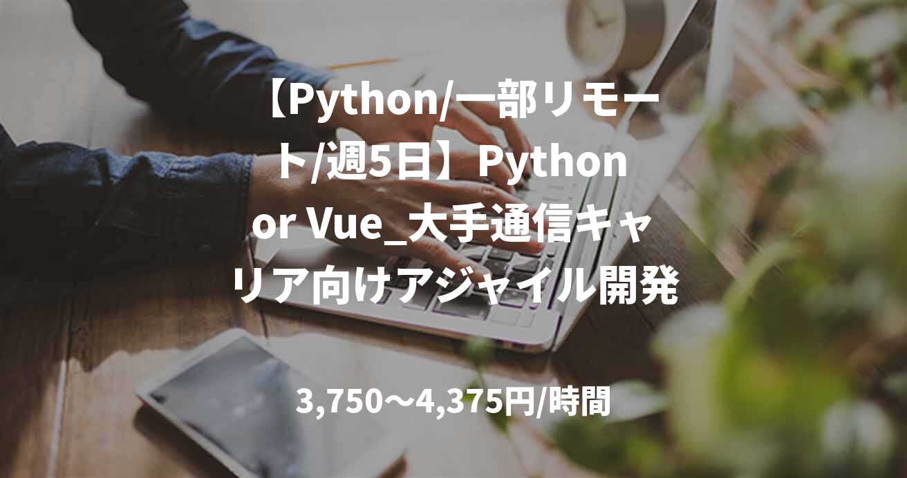 【Python/一部リモート/週5日】Python or Vue_大手通信キャリア向けアジャイル開発