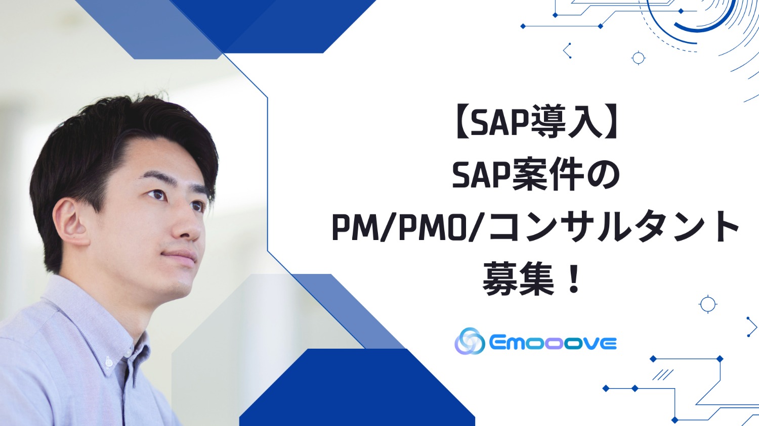 【SAP導入】SAP案件のPM/PMO/コンサルタント募集！