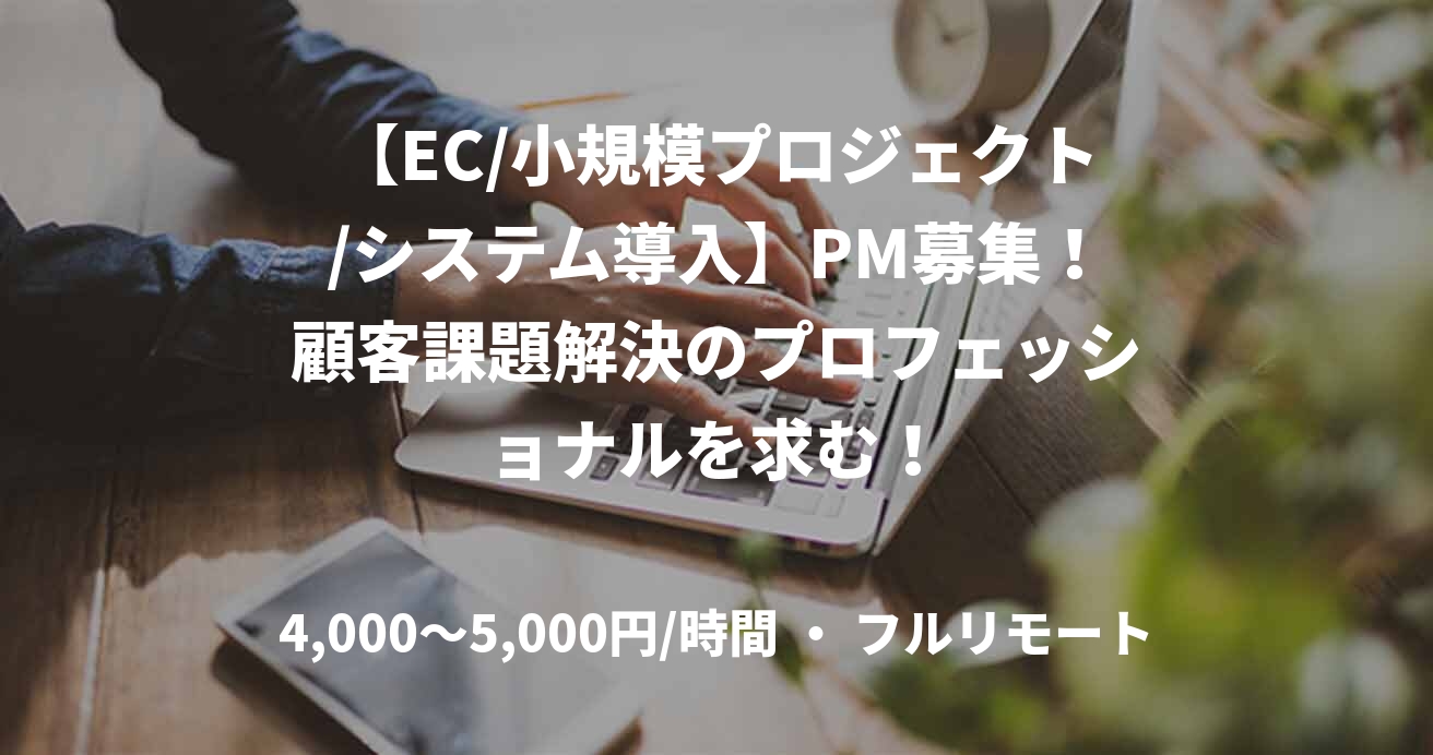 【EC/小規模プロジェクト/システム導入】PM募集！顧客課題解決のプロフェッショナルを求む！