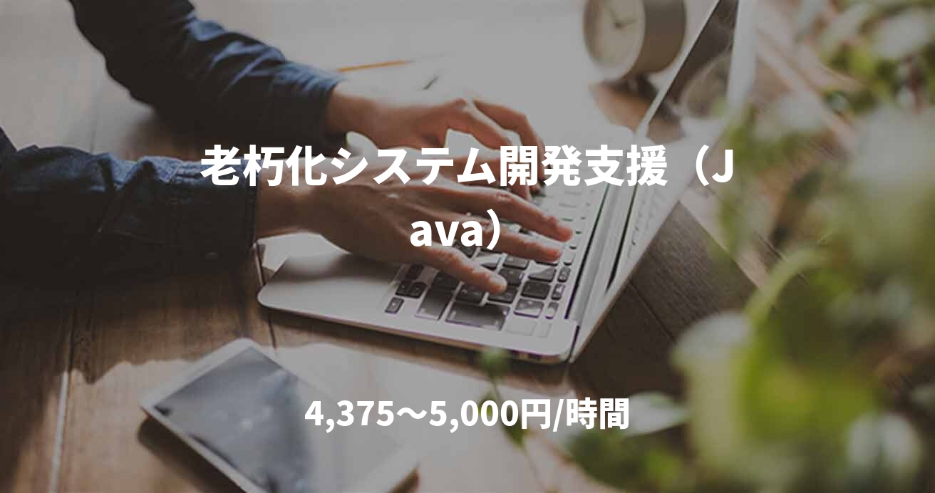 老朽化システム開発支援（Java）