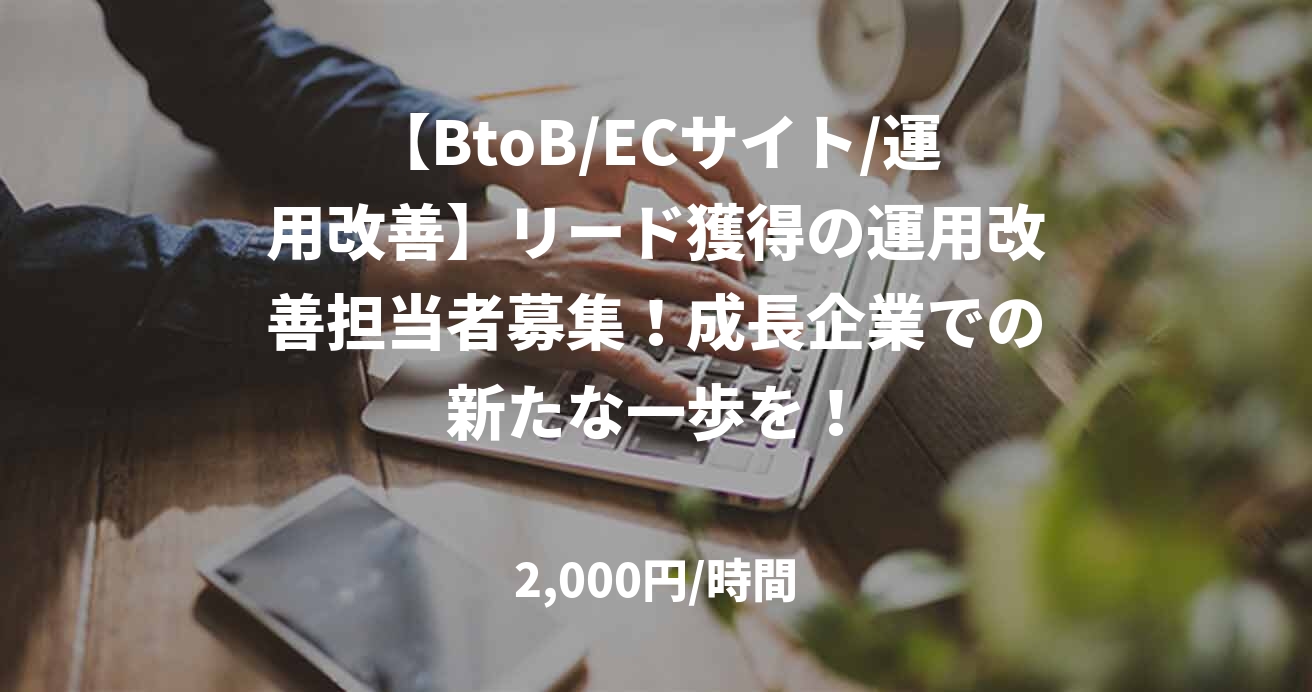 【BtoB/ECサイト/運用改善】リード獲得の運用改善担当者募集！成長企業での新たな一歩を！