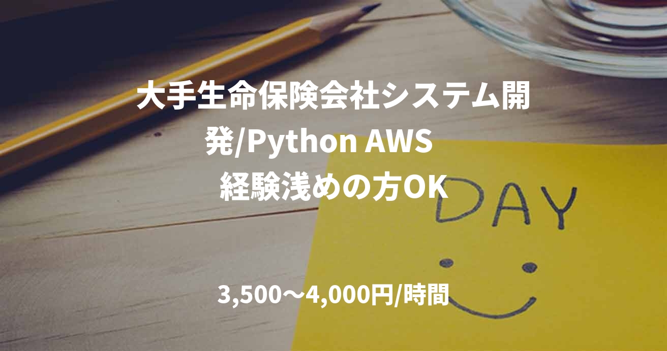 大手生命保険会社システム開発/Python AWS　経験浅めの方OK
