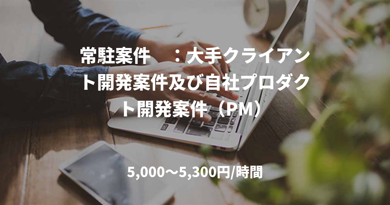 常駐案件　：大手クライアント開発案件及び自社プロダクト開発案件（PM）