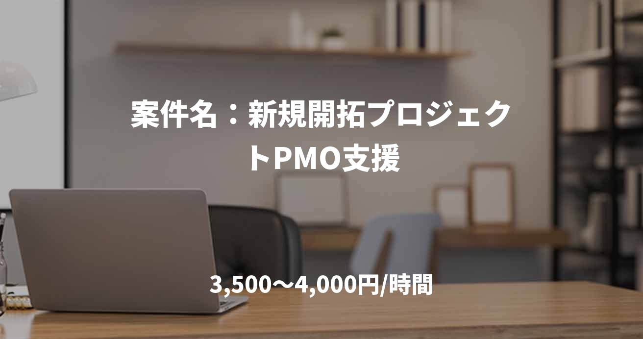 案件名：新規開拓プロジェクトPMO支援