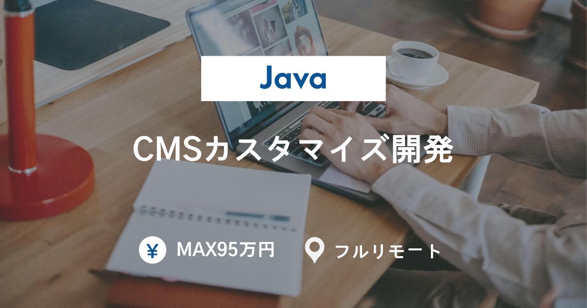【MAX95万円】Java×フロント技術でCMS開発／スクラム体制・React or Vue歓迎／フルリモート