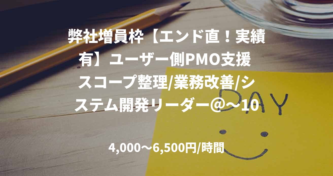 弊社増員枠【エンド直！実績有】ユーザー側PMO支援 スコープ整理/業務改善/システム開発リーダー＠～100万　野澤