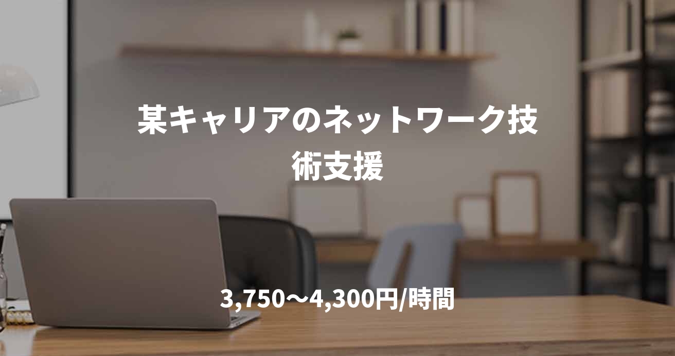 某キャリアのネットワーク技術支援