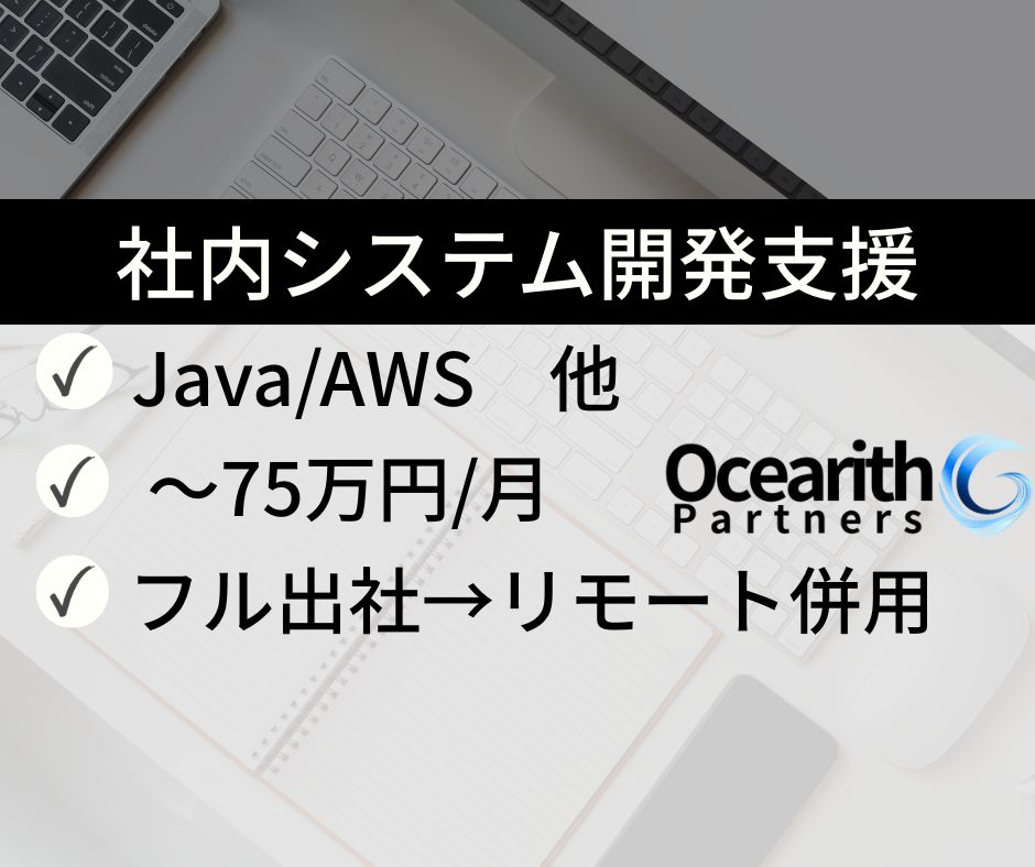 社内システム開発支援