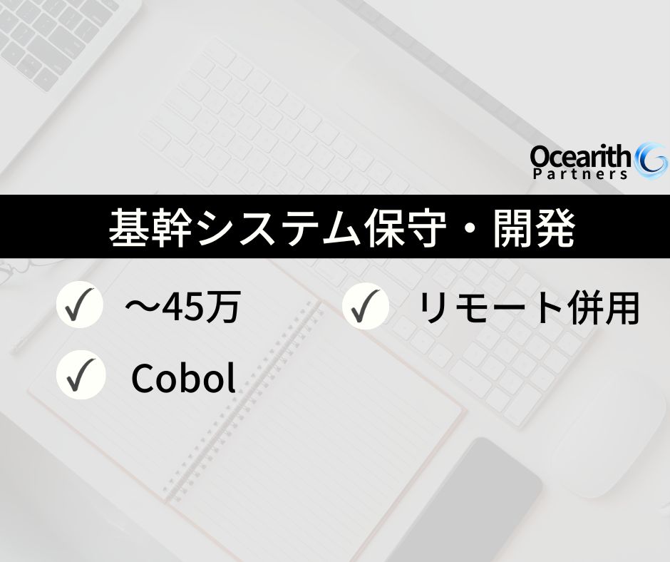 リース業向け基幹システム保守・開発