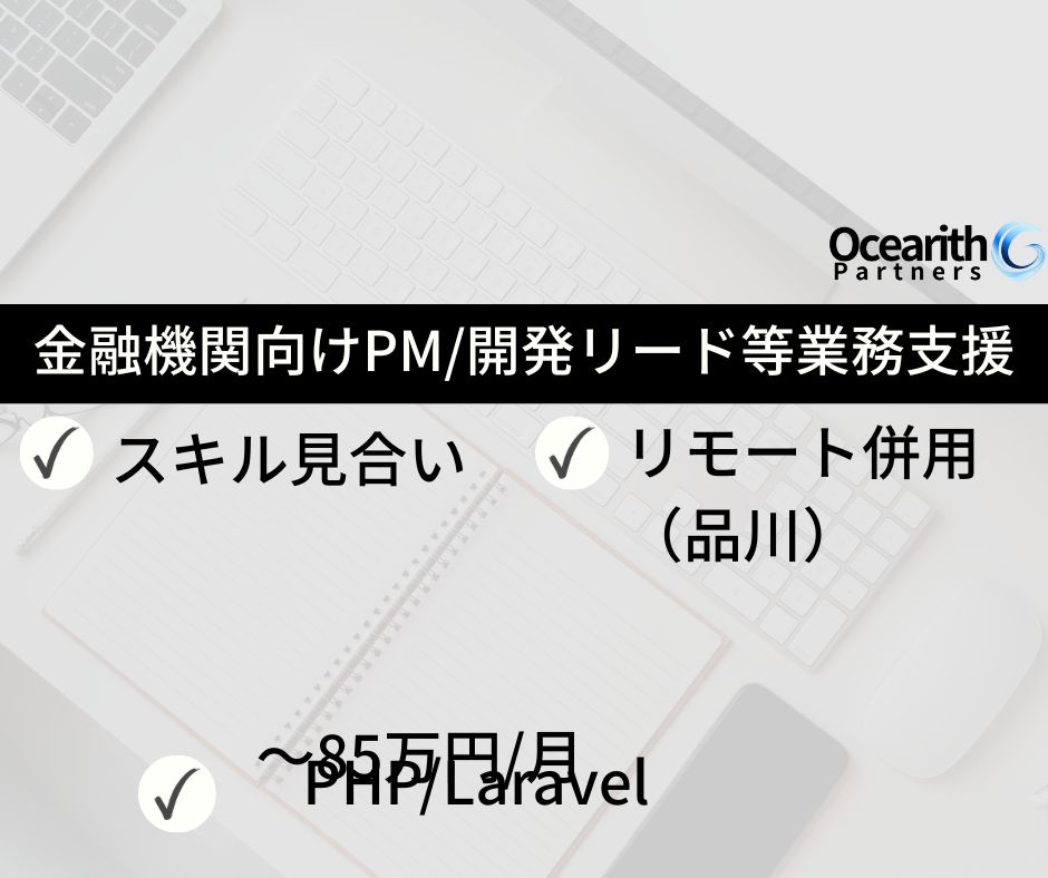 大手金融機関向け、PM/開発リード等の業務支援