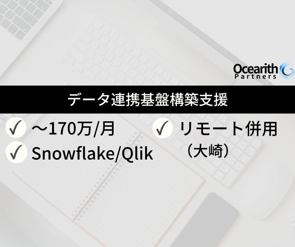 データ連携基盤構築支援（Snowflake・Qlik）