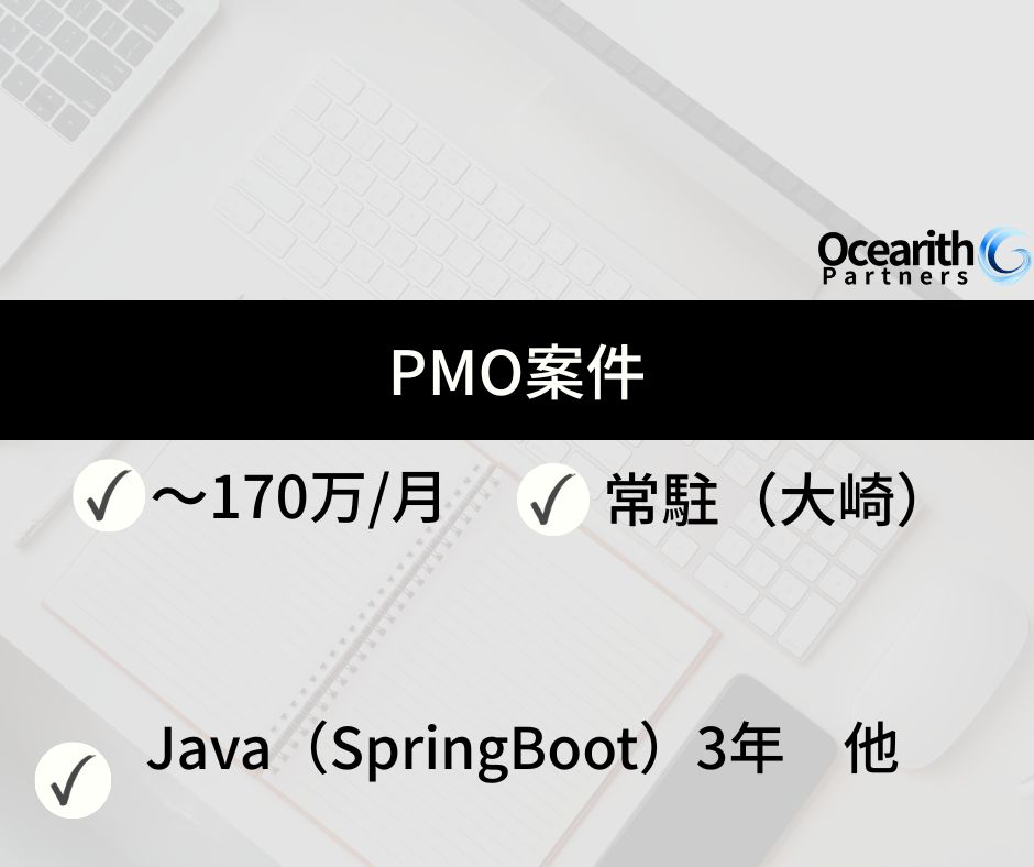 基幹システム刷新に伴う推進管理及び業務フロー整備案件