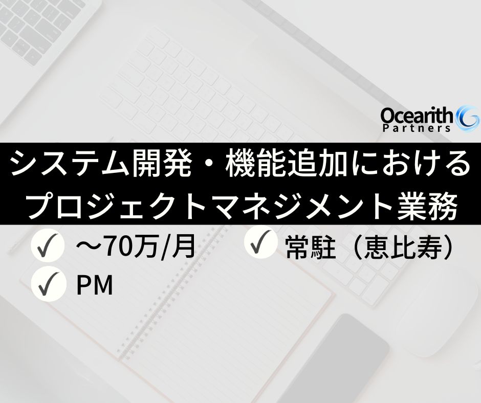 大手ネットカフェ企業のシステム開発・機能追加におけるプロジェクトマネジメント業務