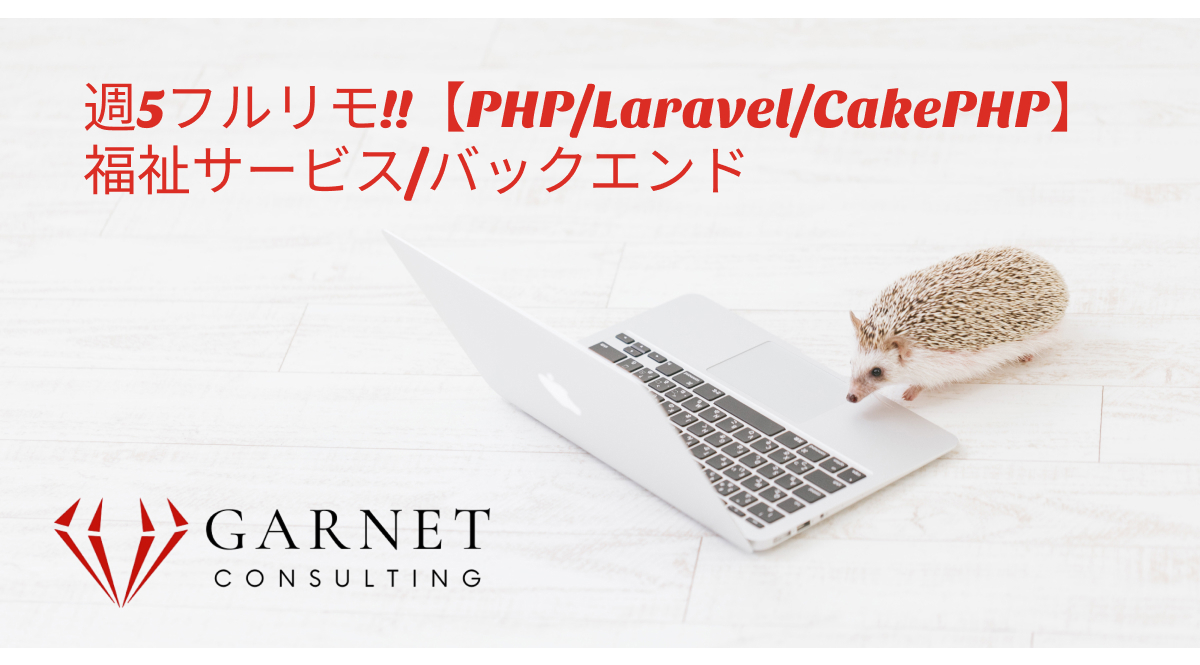週5フルリモ!!【PHP/Laravel/CakePHP】福祉サービス/バックエンド