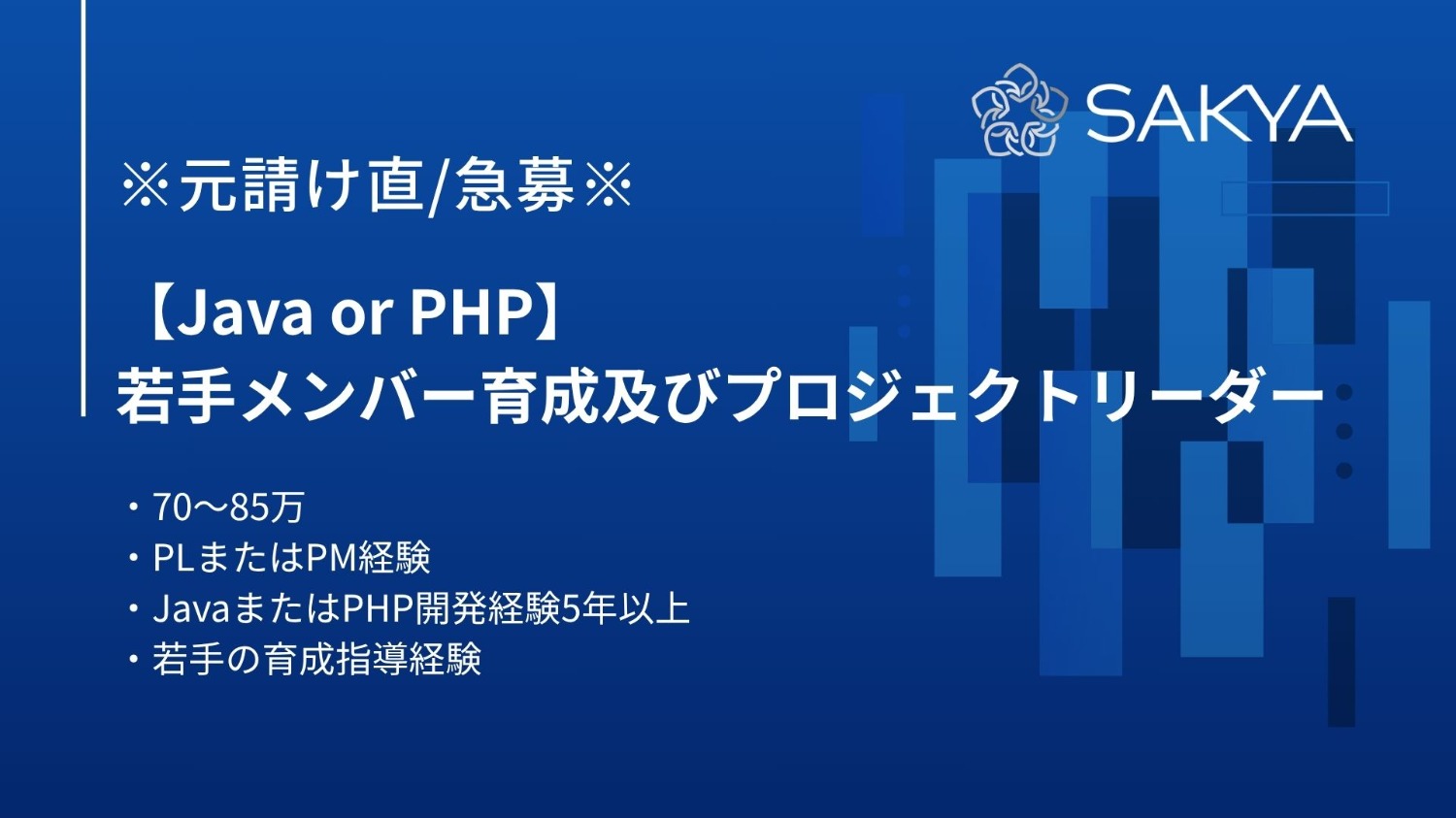 【元請け/PL,PM/教育】若手メンバー育成及びプロジェクトリーダー 