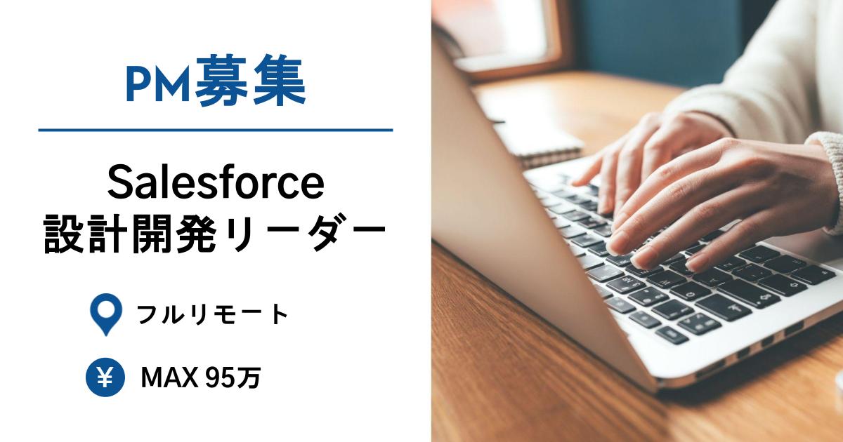 【PM募集】Salesforce設計開発リーダー／Apex／顧客対応あり／フルリモート（拠点：馬喰町or中野）