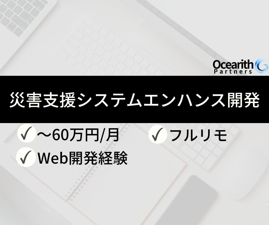 フルリモ【災害支援システムエンハンス開発】