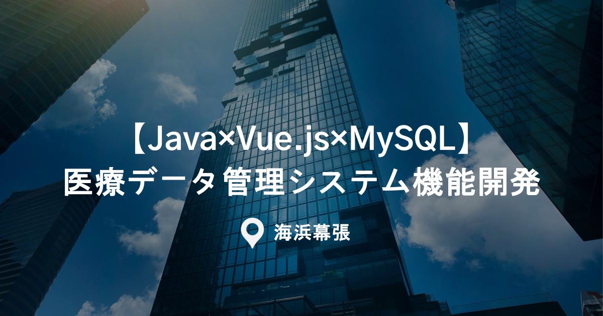 【Java×Vue.js×MySQL】医療データ管理システム機能開発｜常駐＠海浜幕張