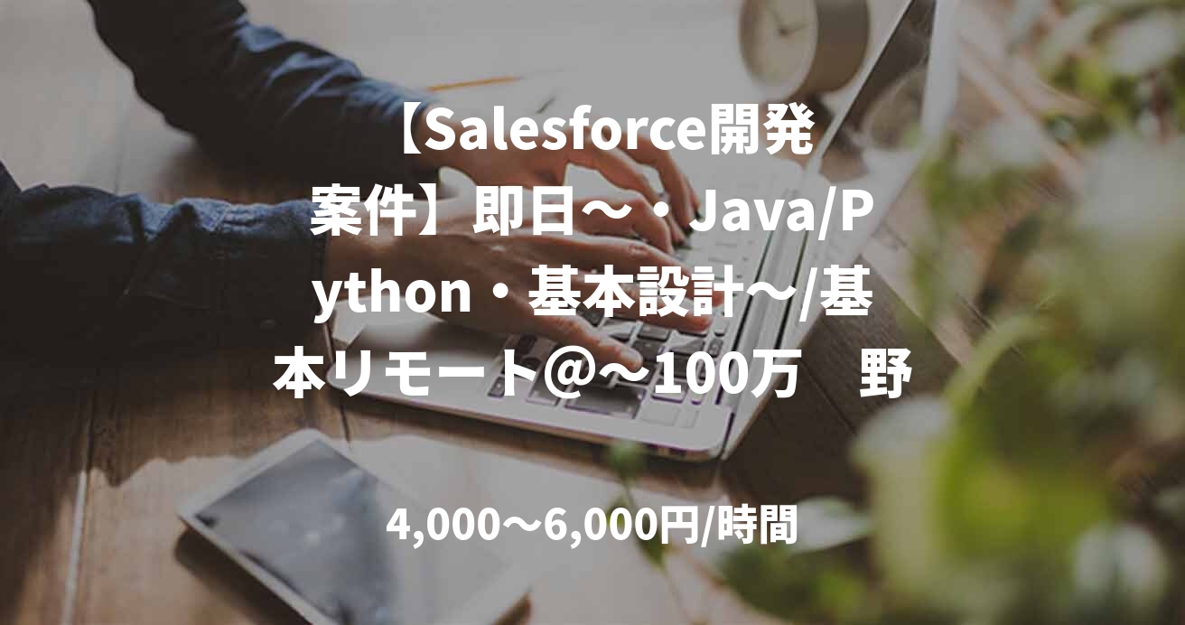 【Salesforce開発案件】即日～・Java/Python・基本設計～/基本リモート＠～100万　野澤