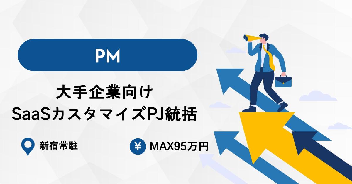 【PM募集】大手企業向けSaaSカスタマイズPJ統括｜顧客折衝・進捗管理｜Max95万