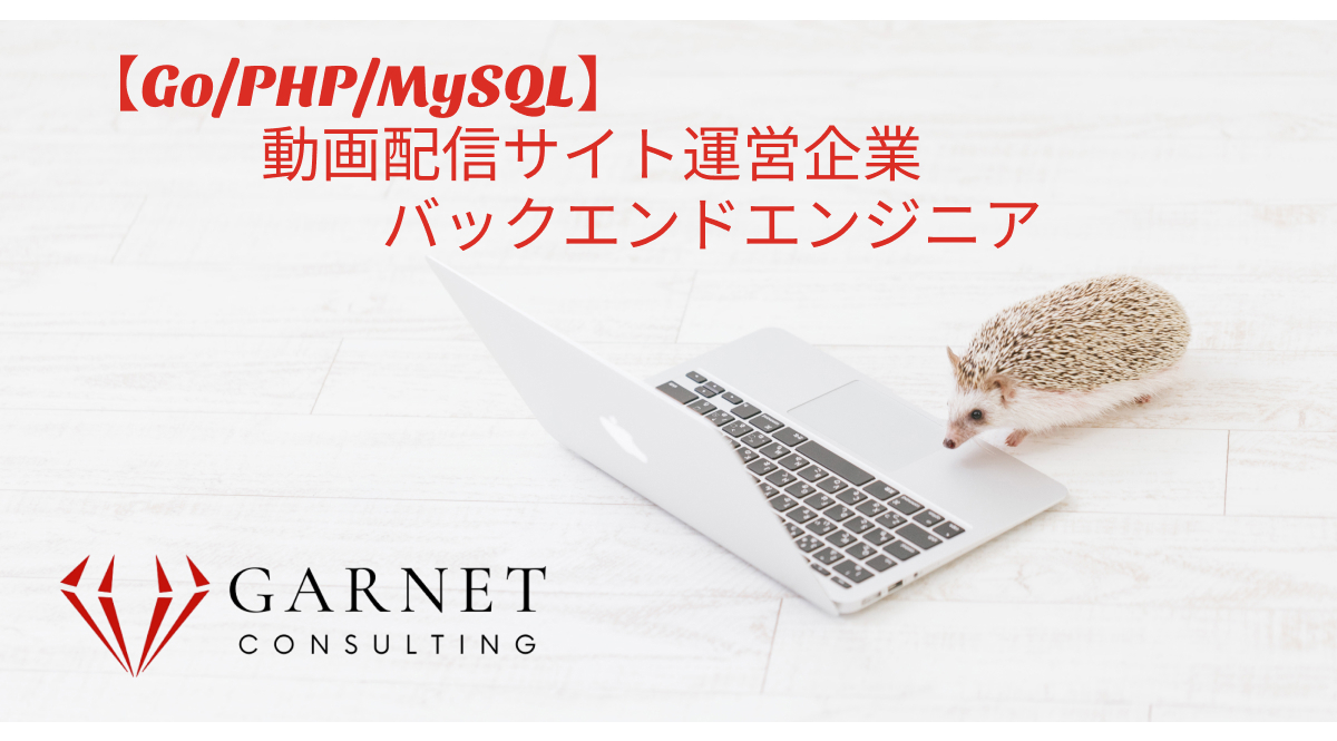 【Go/PHP/MySQL】動画配信サイト運営企業/バックエンドエンジニア