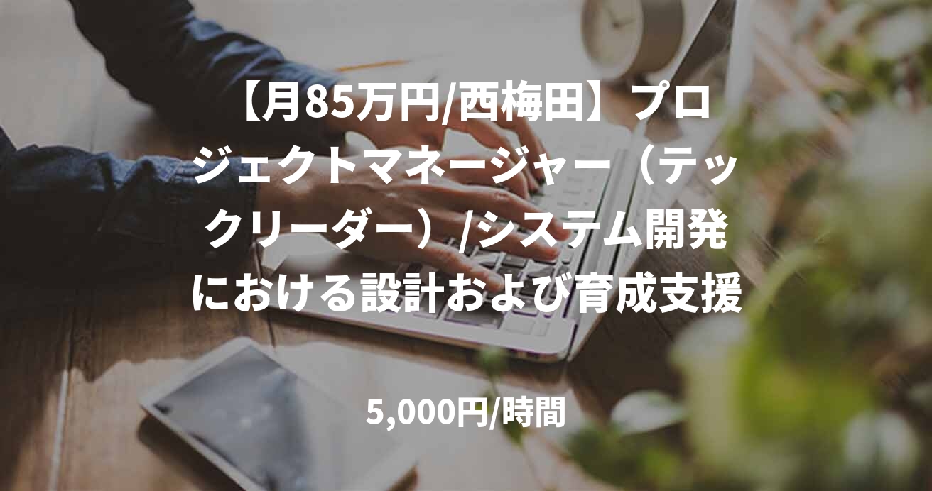 【月85万円/西梅田】プロジェクトマネージャー（テックリーダー）/システム開発における設計および育成支援/JOB49766