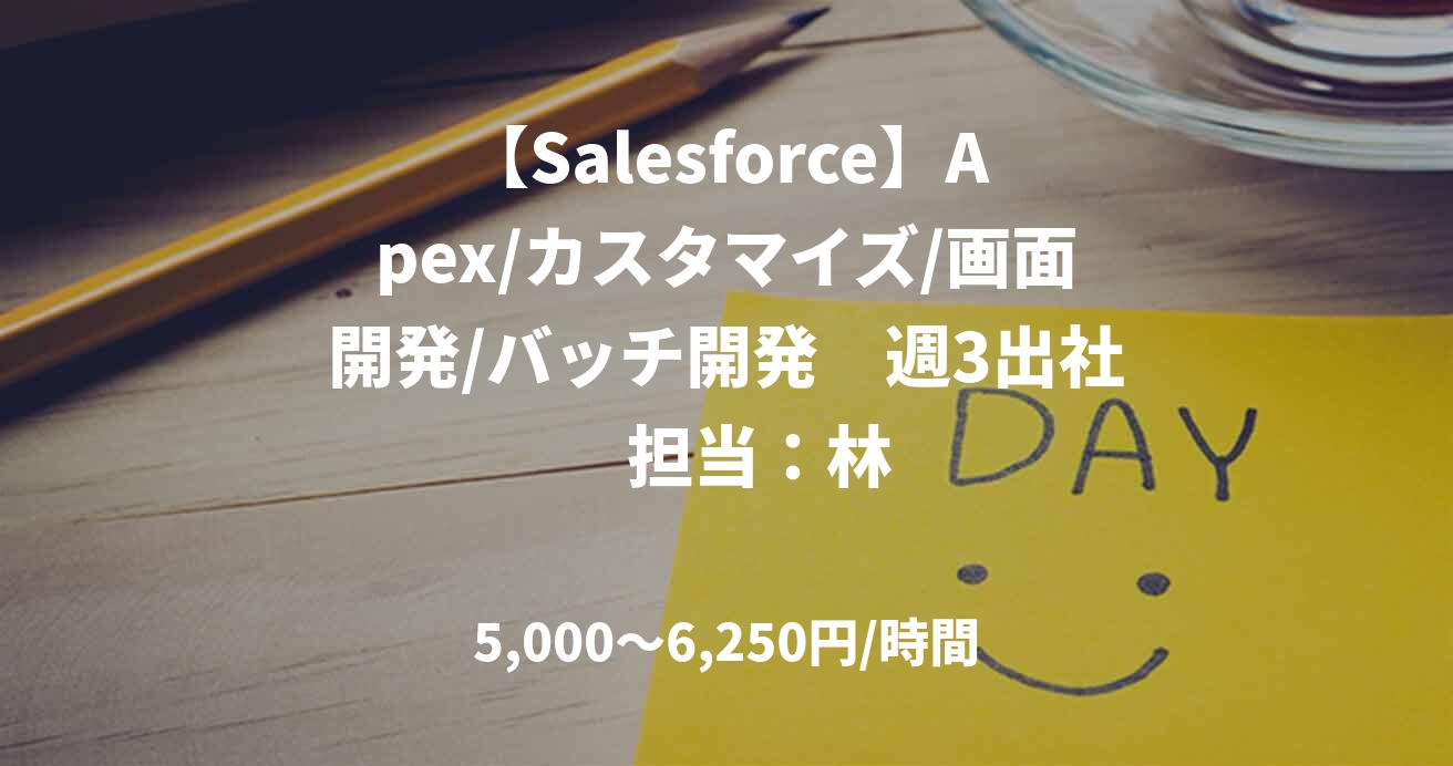 【Salesforce】Apex/カスタマイズ/画面開発/バッチ開発　週3出社　担当：林