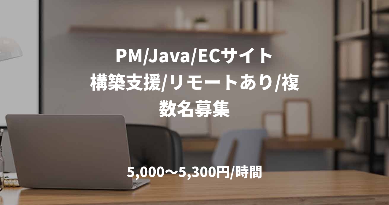 PM/Java/ECサイト構築支援/リモートあり/複数名募集