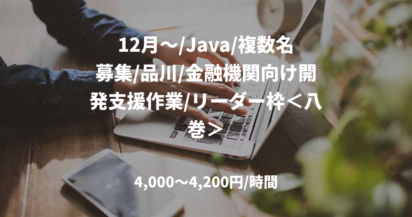 12月～/Java/複数名募集/品川/金融機関向け開発支援作業/リーダー枠＜八巻＞