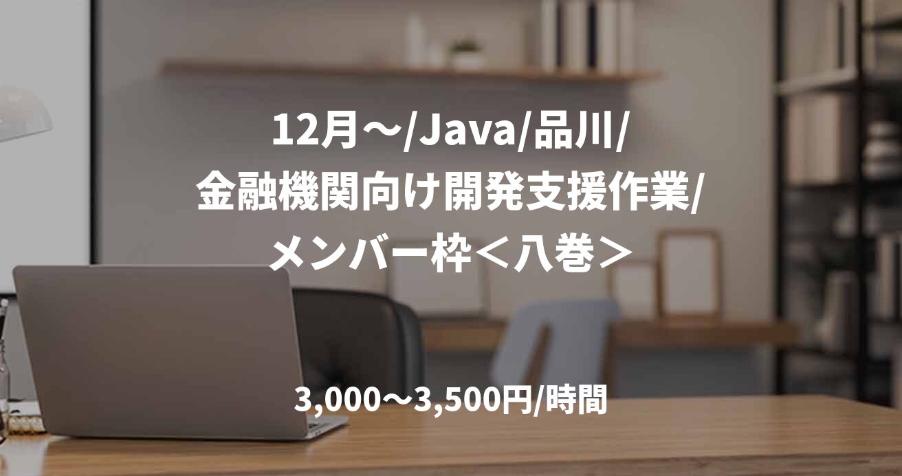 12月～/Java/品川/金融機関向け開発支援作業/メンバー枠＜八巻＞