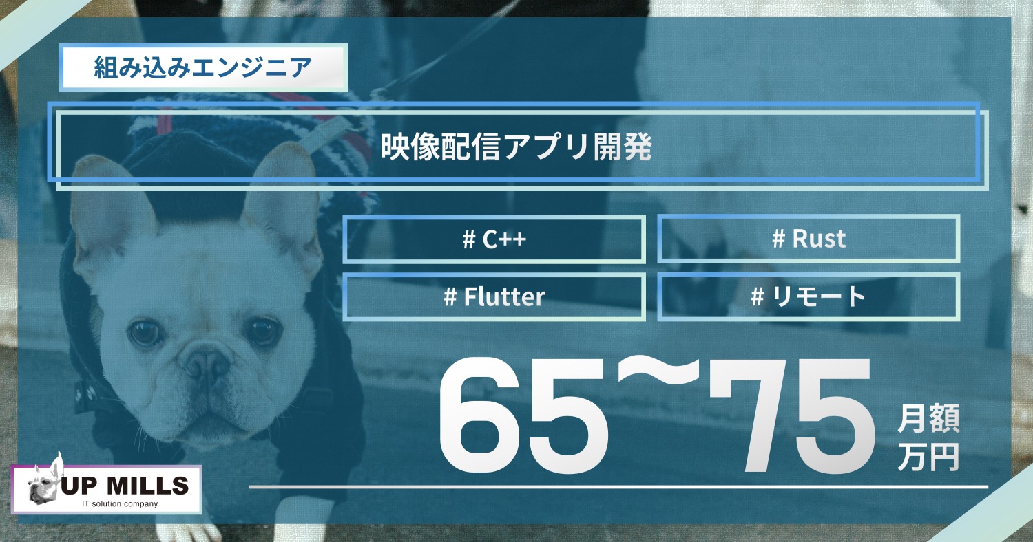 映像配信アプリ開発