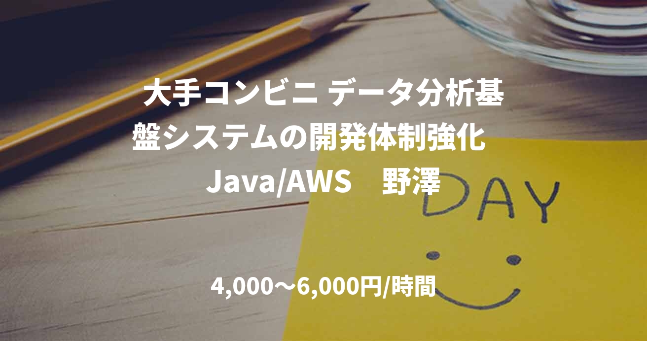大手コンビニ データ分析基盤システムの開発体制強化　Java/AWS　野澤