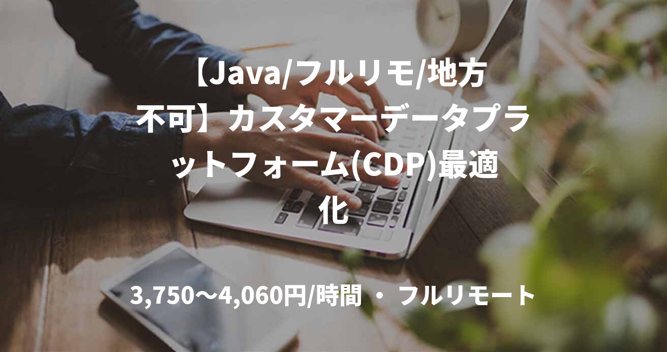【Java/フルリモ/地方不可】カスタマーデータプラットフォーム(CDP)最適化