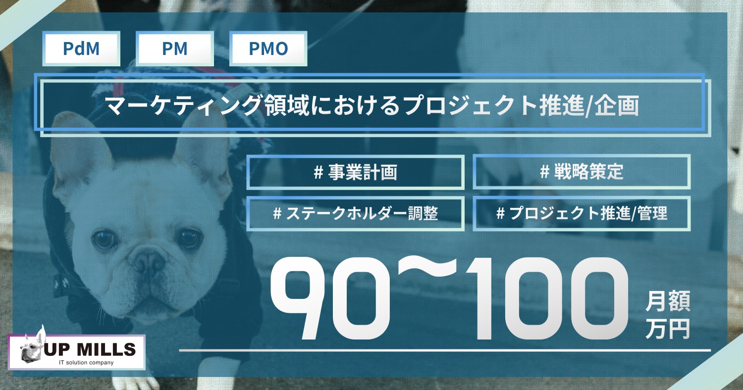 マーケティング領域におけるプロジェクト推進/企画