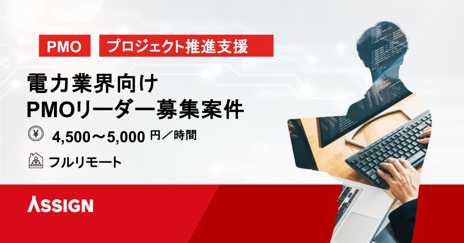 【PMO】電力業界向け開発案件 - PMOリーダー（次世代スマートメーター開発PJT） フルリモート
